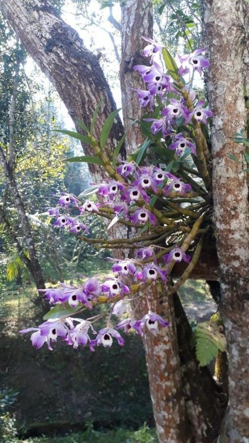 Villa Chácara da Promessa de Deus Icatuacu Esterno foto